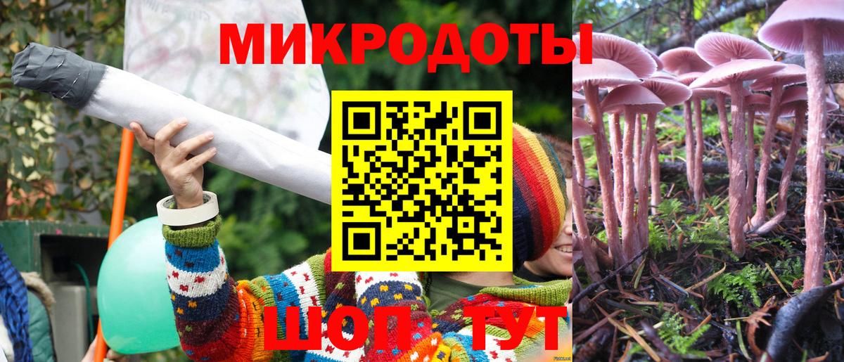 Псилоцибиновые грибы Psilocybine cubensis Усть-Илимск