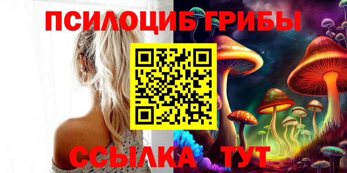 Псилоцибиновые грибы мухоморы  продажа наркотиков  Усть-Илимск  Псилоцибиновые грибы MAGIC MUSHROOMS  Вход с VPN 